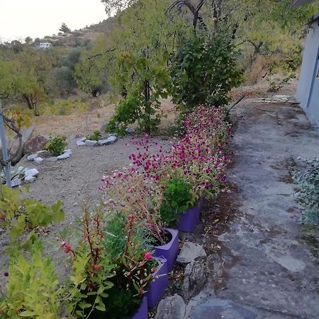 Myrovolos Βίλα Αρμενιστής Εξωτερικό φωτογραφία