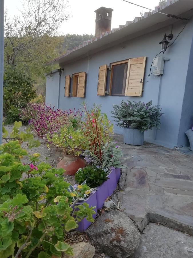 Myrovolos Βίλα Αρμενιστής Εξωτερικό φωτογραφία